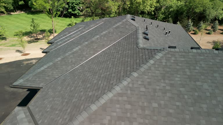 Best Roof Moss and Algae Removal  in Rice, TX